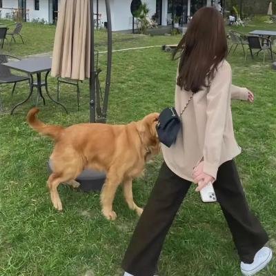 淘气小女巫第三季